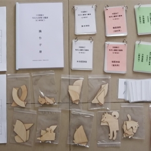 韋氏兒童智力量表測(cè)試工具箱C-WISC中國(guó)修訂版